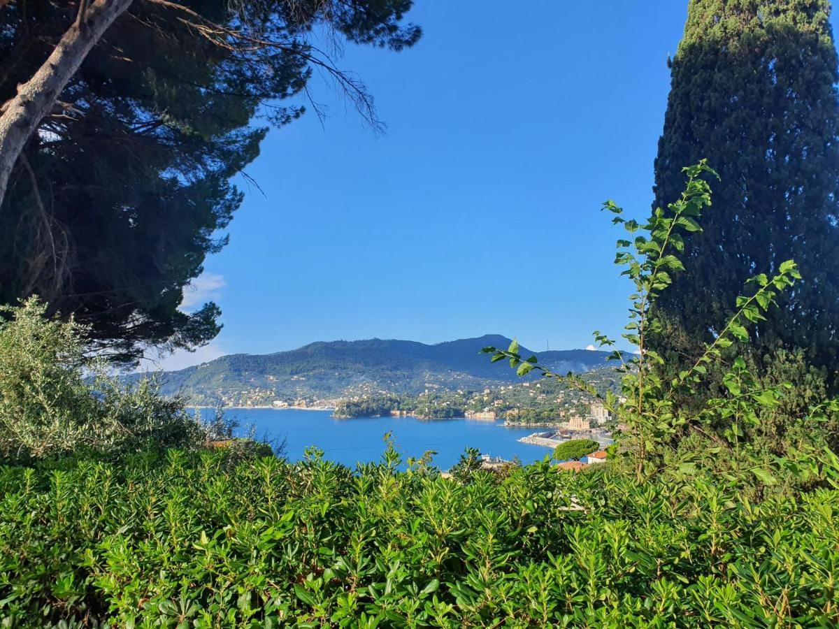 Agave Διαμέρισμα Zoagli Εξωτερικό φωτογραφία