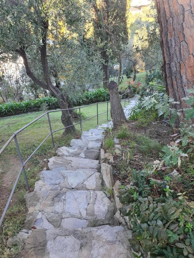 Agave Διαμέρισμα Zoagli Εξωτερικό φωτογραφία